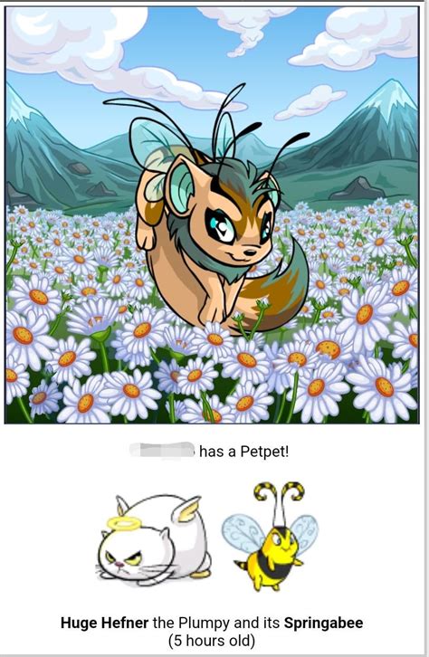 the coincidence neopets|SunnyNeo .